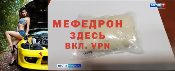 индика Алексин