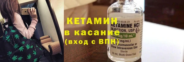 индика Алексин