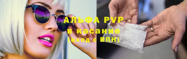 хмурый Алексеевка