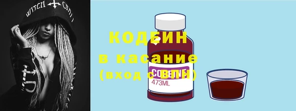 индика Алексин