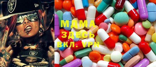индика Алексин