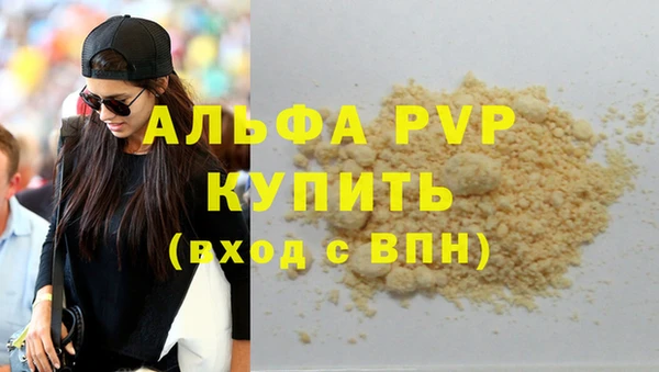 индика Алексин