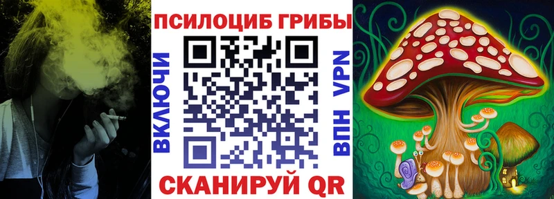 Псилоцибиновые грибы Cubensis  где можно купить наркотик  Учалы 